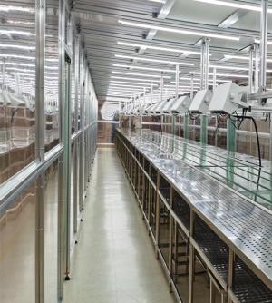 无尘车间流水线